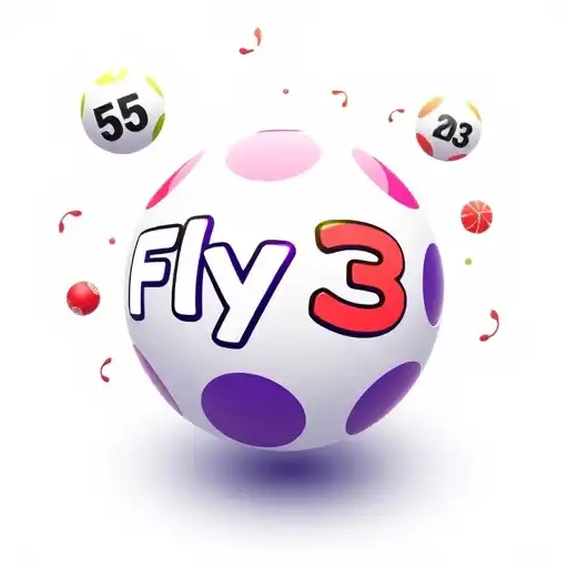 Exploring the Online Lottery World with Fly33